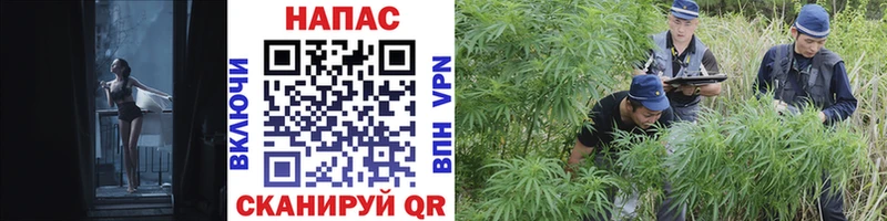 купить   Комсомольск  МАРИХУАНА LSD WEED 